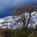 Garry Biggs Photo 7