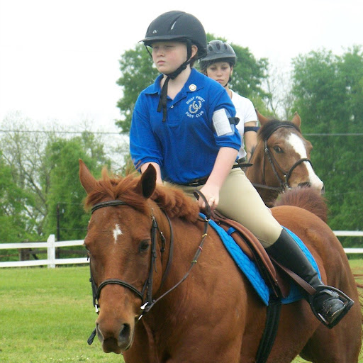 Julie Carroll Photo 18