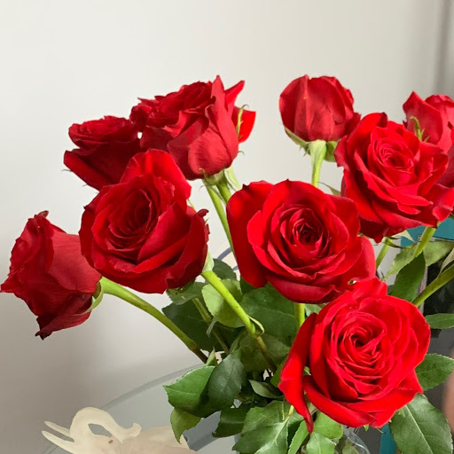 Rosa Saravia Photo 15