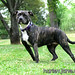 Jane Standing Photo 5
