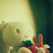Terry Chen Photo 8