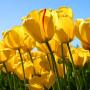 Anil Antony Photo 14