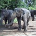 Kandy Hunt Photo 7