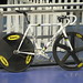 Thomas Dolan Photo 4