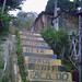 Fatima Silveira Photo 5