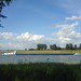 Daniel Wasser Photo 12