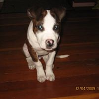 Isiah Adams Photo 11