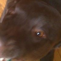 Ragan Cook Photo 11