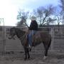 Brett Buchanan Photo 10