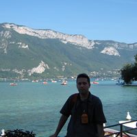 Florin Theodorescu Photo 3