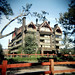 Jack Winer Photo 1