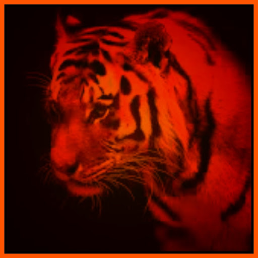 Seth Aldrich Photo 8