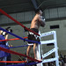 Marcus Gomez Photo 8