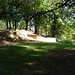Esteban Garibay Photo 1