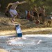 Brett Paradise Photo 5