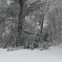 Peter Schiller Photo 21