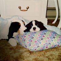 Paulette Murphy Photo 18