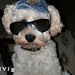 Debra Harley Photo 10