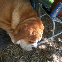 Amy Bowen Photo 28