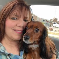 Lisa Shipman Photo 15