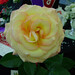 Betty Walters Photo 14