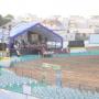 Prapti Patel Photo 12