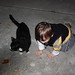 Matthew Walden Photo 15