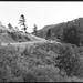 Daniel Creek Photo 3