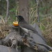 Jay Brown Photo 16