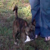Julie Garman Photo 6