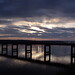 Jim Bugg Photo 11
