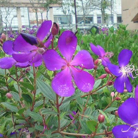 Seong Lee Photo 32