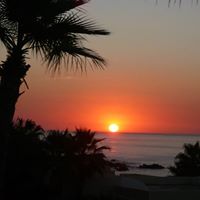 Nancy Dahlstrom Photo 8