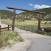 Connie Foley Photo 12