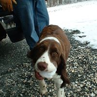 Amy Tilley Photo 30