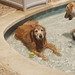 Judy Murphy Photo 5