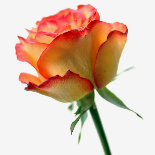 Dhaneshwari Sahu Photo 8
