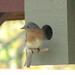 Kenneth Latimer Photo 5