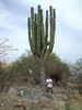Gabriel Torres Photo 30