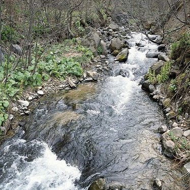 Don Brown Photo 50