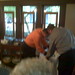 Kelly Jeffrey Photo 6