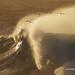 Sean Bird Photo 9