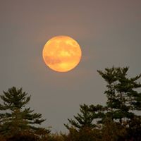 James Eshelman Photo 14
