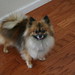 Sue Lathrop Photo 8
