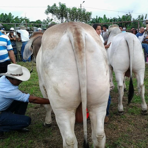 Victor Reyes Photo 13