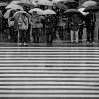 Ken Sato Photo 22