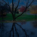 Ann Elder Photo 11