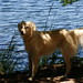 Miesha Lake Photo 10