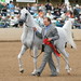Jeff Schall Photo 4
