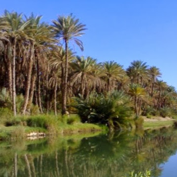 Hani Aljabri Photo 2